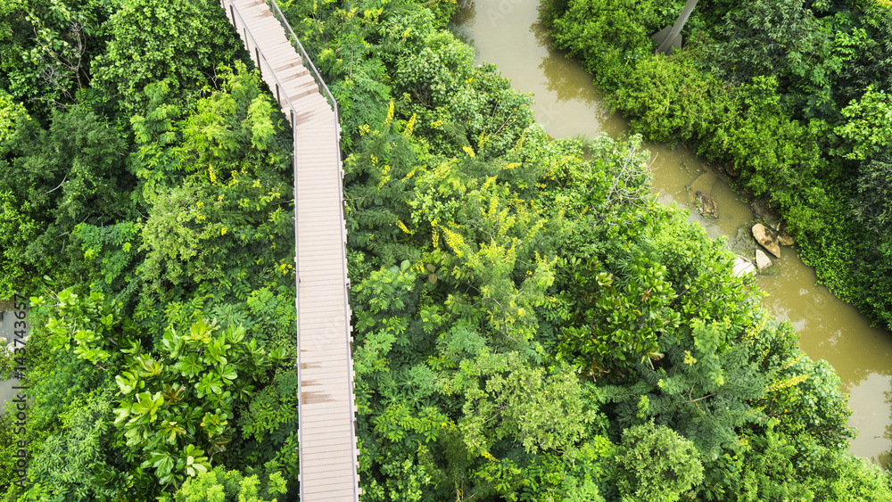 Fototapeta premium Top view of wooden walkway in forest with trees and river.