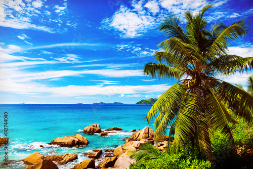 Tropical island. The Seychelles.Toned image.