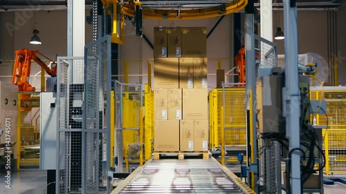palletizing robot wraps stretch
