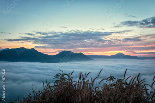 Landscape lot of fog Phu Thok Mountain at Chiang Khan  Loei Province in Thailand.