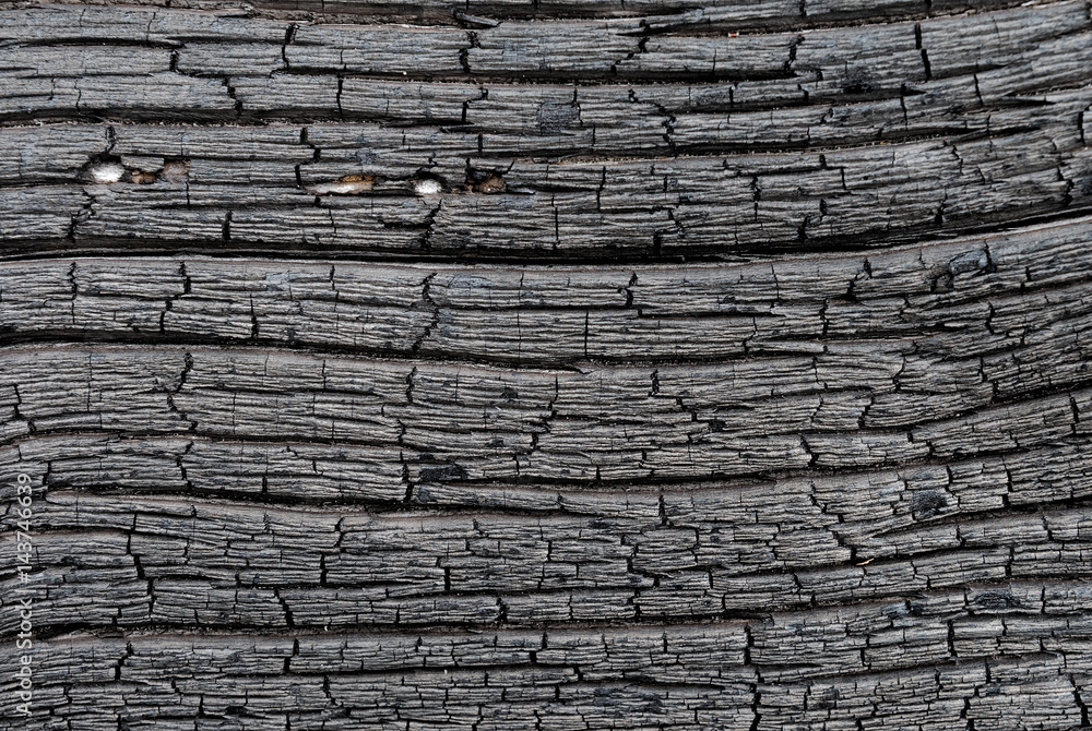 Surface of charred wood