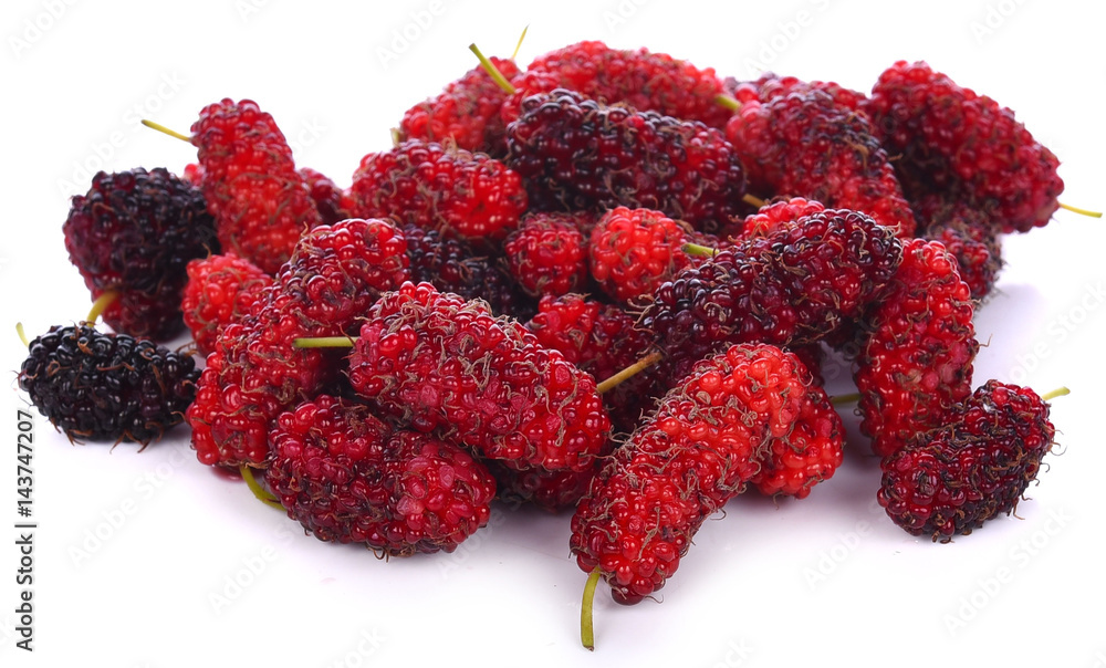 Mulberry On a white background Mulberry On a white background
