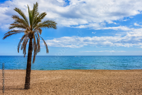 Fototapeta Naklejka Na Ścianę i Meble -  Beach Sea and single Palm Tree on Costa del Sol in Marbella, Spain