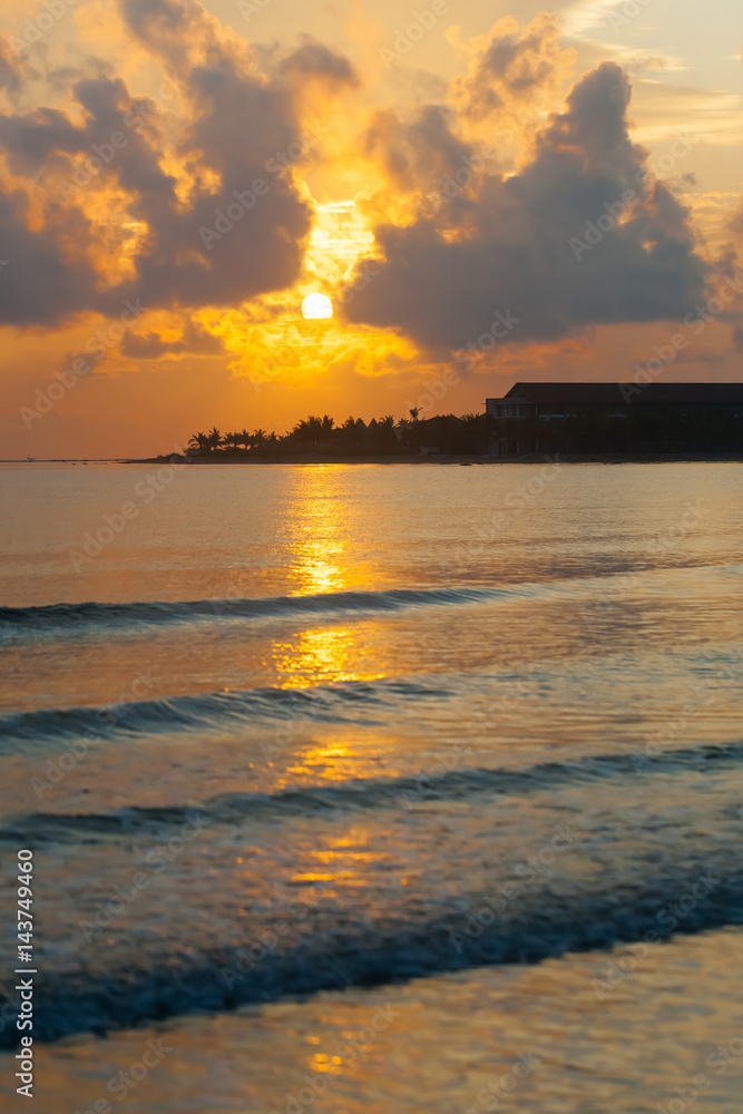 Fototapeta premium Palm Beach Ocean