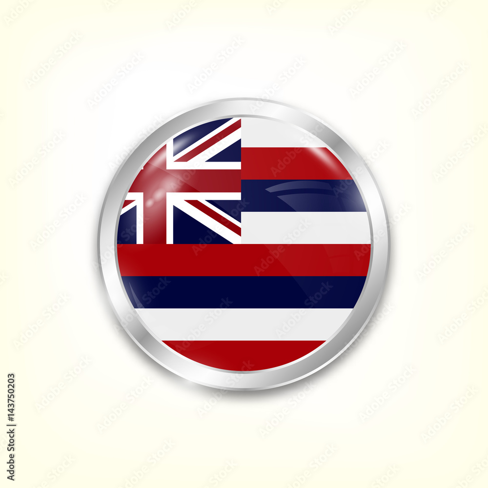 Round button national flag of Hawaiian islands with the reflection of light and shadow. Icon country. Realistic vector illustration. Round button national flag of Hawaiian islands with the reflection of light and shadow. Icon country. Realistic vector illustration.
