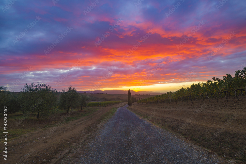 Fiery sunset in the Tuscan vineyard