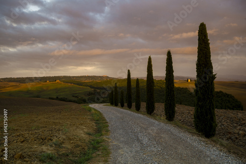 Autumn landscape of the most picturesque part of Tuscany  val d orcia valley