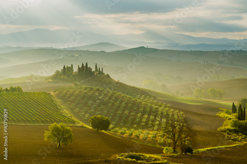 Fairytale, misty morning in the most picturesque part of Tuscany, val de orcia valleys photo