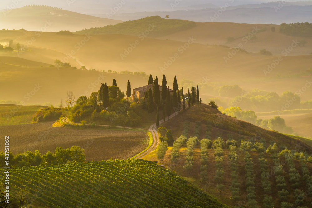 Fototapeta premium Bajkowy, mglisty poranek w najbardziej malowniczej części Toskanii, doliny Val de Orcia