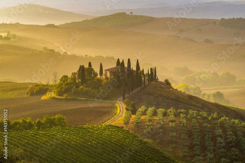 Fairytale, misty morning in the most picturesque part of Tuscany, val de orcia valleys