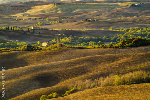 Autumn landscape of the most picturesque part of Tuscany, val d'orcia valley