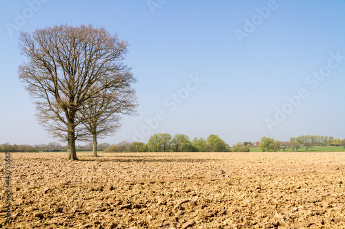 Sussex Farmland in Springtime