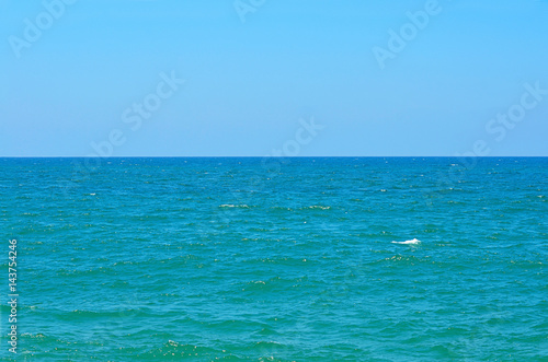Close up view beautiful blue ocean © svetavo