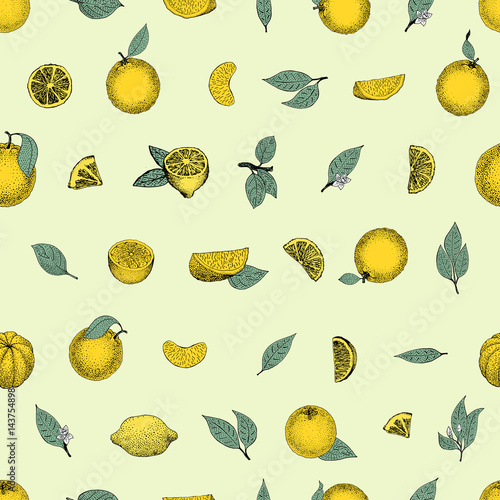 Seamless pattern of hand drawn oranges and slices in sketch style. Vector illustration