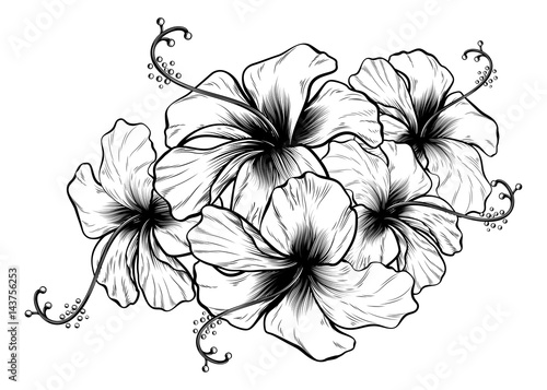 Hibiscus Flowers Vintage Retro Style Woodcut Engraved Etching