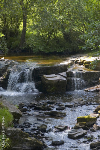 waterfall in forest