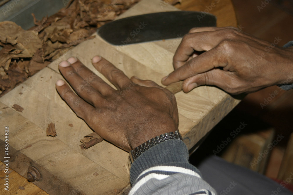 Obraz premium Cuban makes cigars by hand