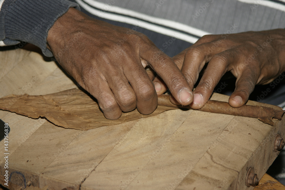 Cuban makes cigars by hand Cuban makes cigars by hand