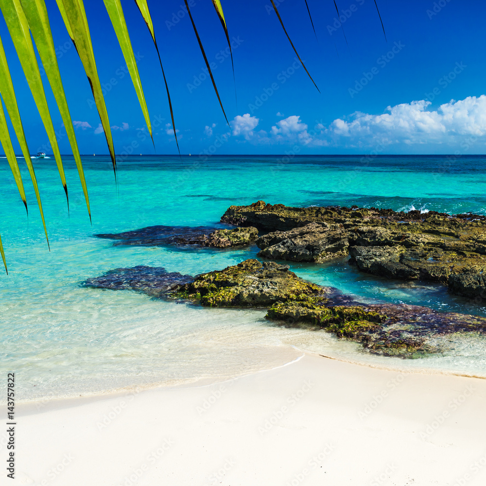 Paradise nature, sand, sea water, rocks, green palm tree leaves and summer on the tropical beach. Photo from Playa Del Carmen, Riviera Maya, Yucatan, Mexico.