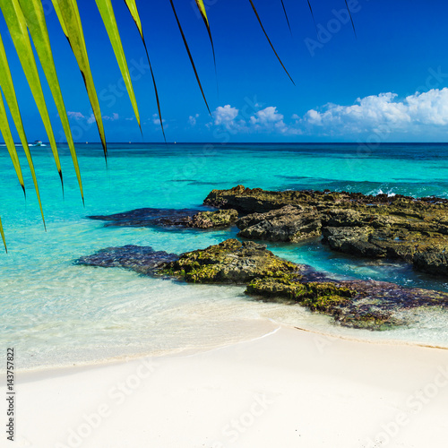Obraz na płótnie Paradise nature, sand, sea water, rocks, green palm tree leaves and summer on the tropical beach. Photo from Playa Del Carmen, Riviera Maya, Yucatan, Mexico. w salonie