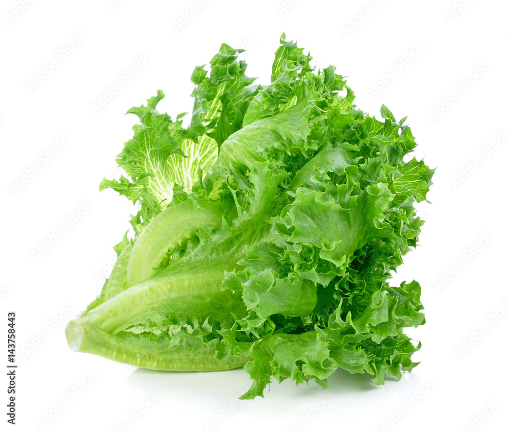 Fresh green lettuce isolated on a white Fresh green lettuce isolated on a white