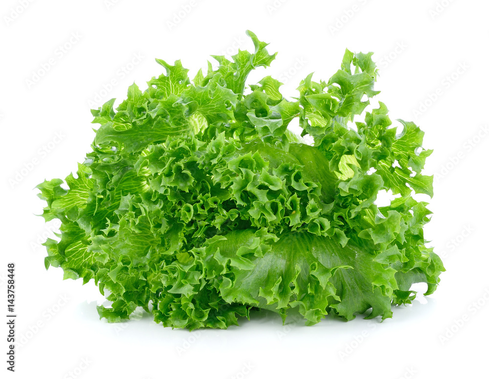 Fresh green lettuce isolated on a white Fresh green lettuce isolated on a white