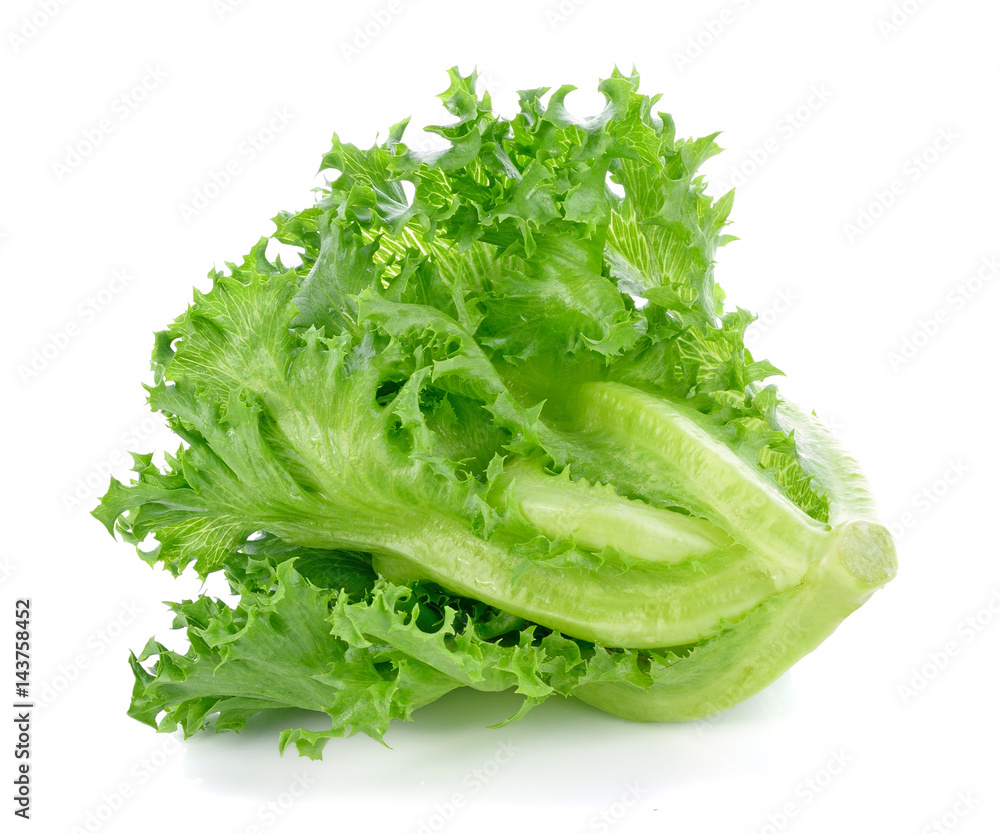 Fresh green lettuce isolated on a white Fresh green lettuce isolated on a white