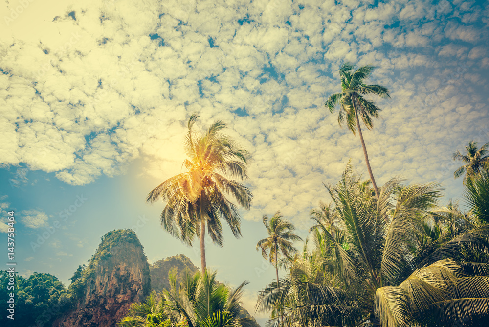 Coconut palm trees and limestone rocks at sunny day at blue sky with clouds. Beautifull sea sunset nature background. Travel concept. Photo from Railay Beach, Krabi, Thailand. Vintage filter.