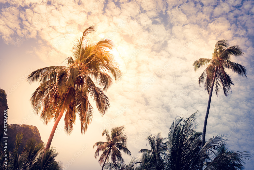 Silhouette coconut palm trees with sun light on sunset sky background. Travel concept. Photo from Kabi, Thailand. Vintage colors and boost up color processing.