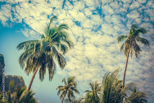 Coconut palm trees and limestone rocks at sunny day at blue sky with clouds. Beautifull sea sunset nature background. Travel concept. Photo from Railay Beach, Krabi, Thailand.