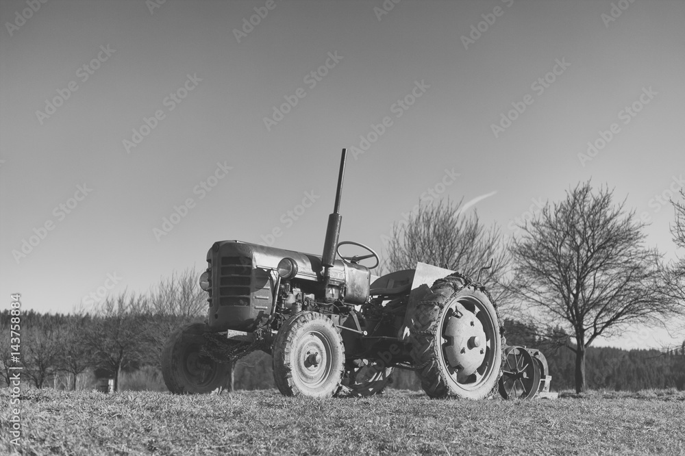 Fototapeta premium Old small tractor on the field