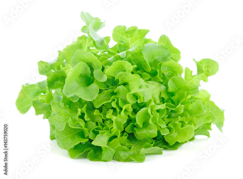 Green oak lettuce on white background