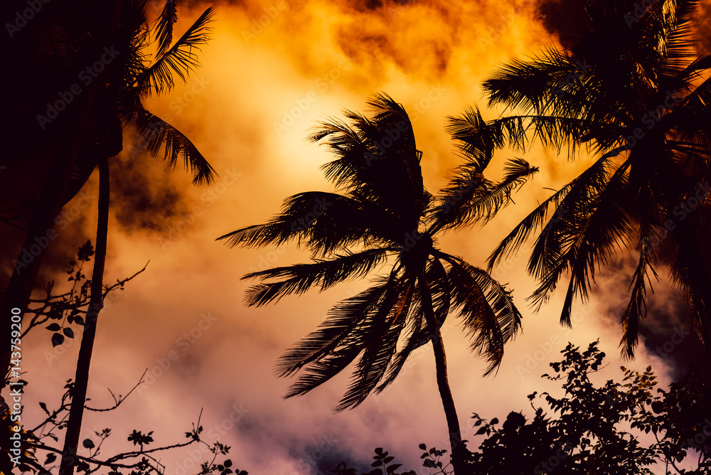 Silhouette coconut palm trees with sun light on sunset sky background. Travel concept. Photo from Kabi, Thailand. Vintage colors and boost up color processing.