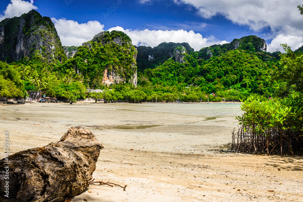 Limestone rocks, palm trees and mangrove trees. Typical thai landscape from East Railay Beach, Krabi, Thailand.