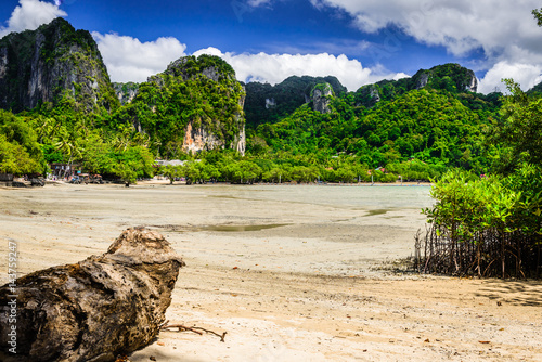 Obraz na płótnie Limestone rocks, palm trees and mangrove trees. Typical thai landscape from East Railay Beach, Krabi, Thailand. w salonie