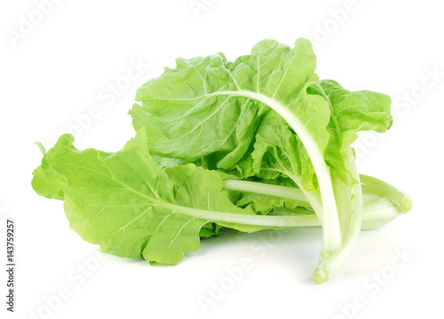 lettuce leaves isolated on white background