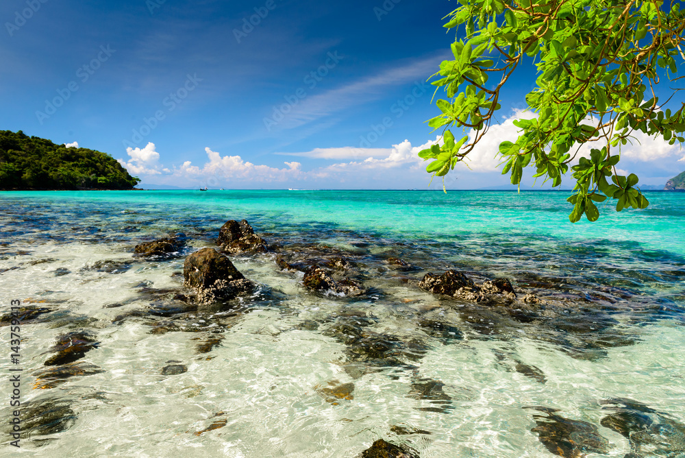 Beautiful tropical beach, rocks, exotic plant leaves and clear turquoise sea water. Photo from Ko Phi Phi Don, Phi Phi Islands, Krabi province, Southern Thailand.