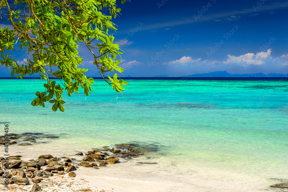 Beautiful tropical beach, rocks, exotic plant leaves and clear turquoise sea water. Photo from Ko Phi Phi Don, Phi Phi Islands, Krabi province, Southern Thailand.