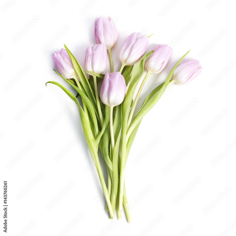 Pink tulips bouquet on white background Pink tulips bouquet on white background