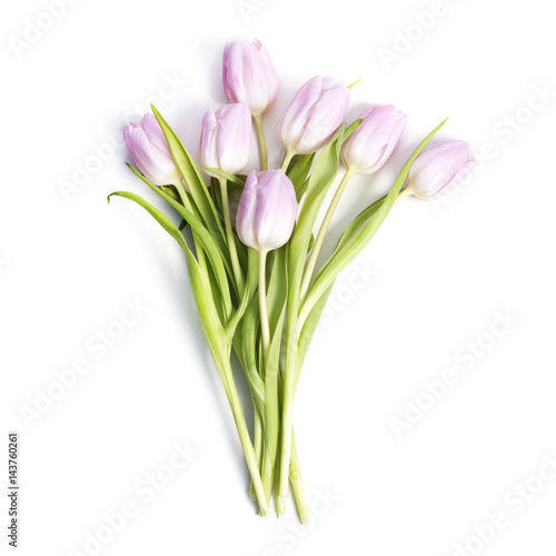 Pink tulips bouquet on white background