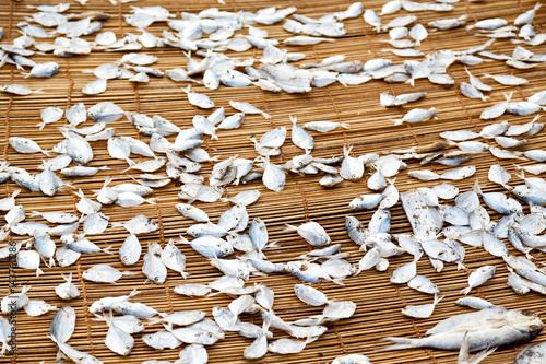  lots of fish salted and dry preparation for the market photo