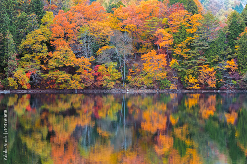 長野県大町市の青木湖の紅葉