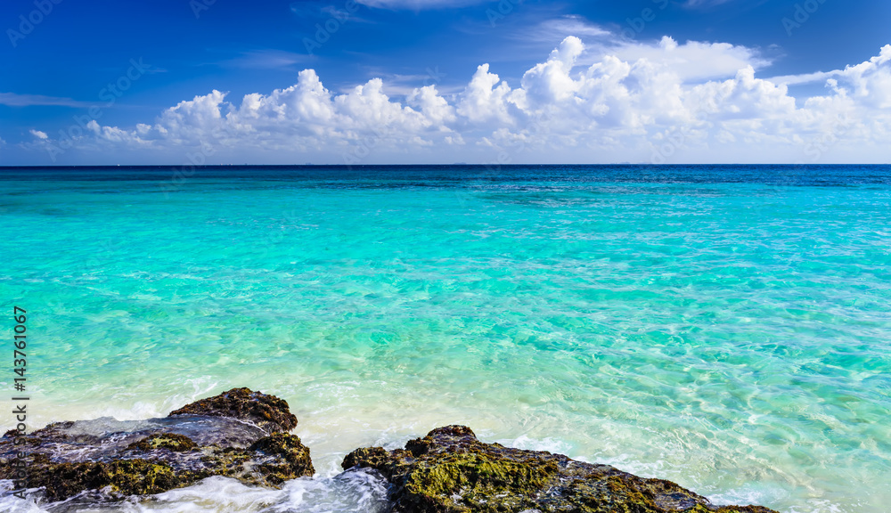 Paradise nature, sand, sea water, rocks, palm tree leaves and summer on the tropical beach. Playa Del Carmen, Riviera Maya, Mexico.