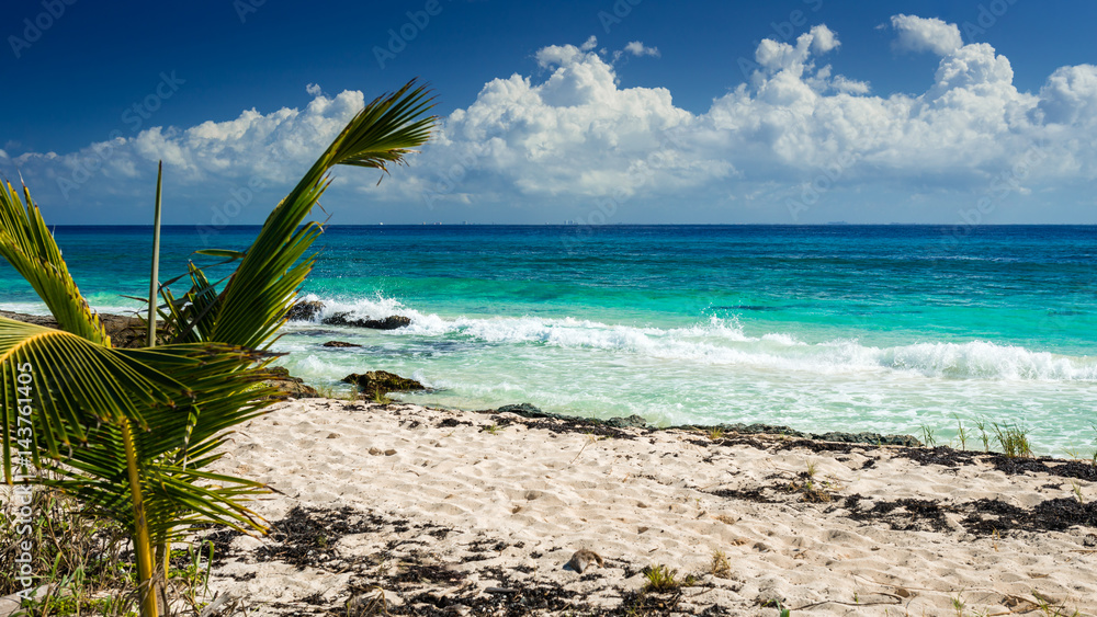 Paradise nature, sand, sea water, rocks, palm tree leaves and summer on the tropical beach. Playa Del Carmen, Riviera Maya, Mexico.
