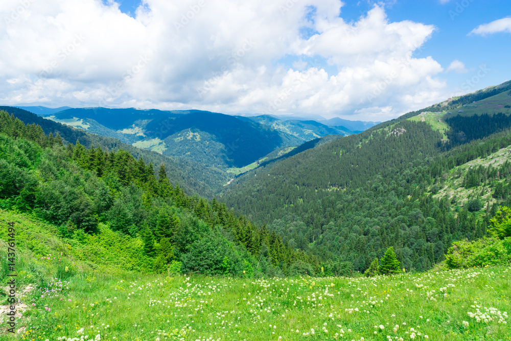 Obraz premium Summer Mountain Plateau Highland with Giresun - Turkey - Black Sea