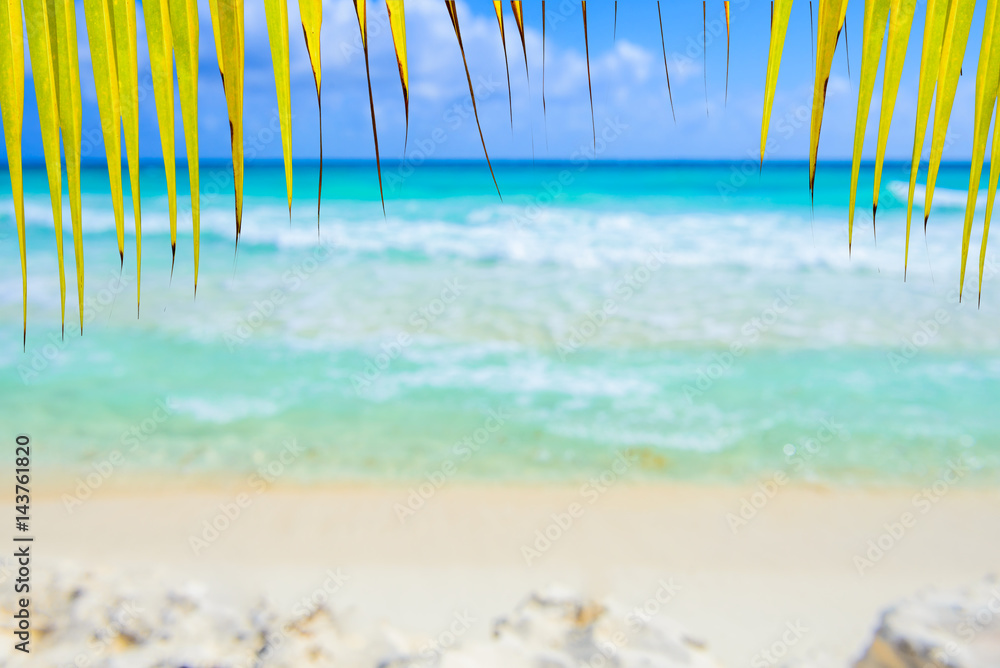 Summer beach with yellow palm leaf and shiny sparkling sea water. Blurred background.