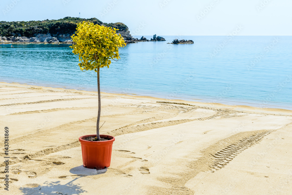 Summer day in Kalamitsi beach. Greek landscape from Kalamitsi, Sitonia, Halkidiki, Macedonia, Northern Greece.