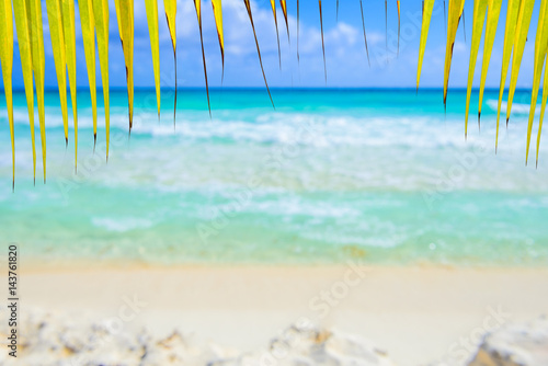 Obraz na płótnie Summer beach with yellow palm leaf and shiny sparkling sea water. Blurred background. w salonie