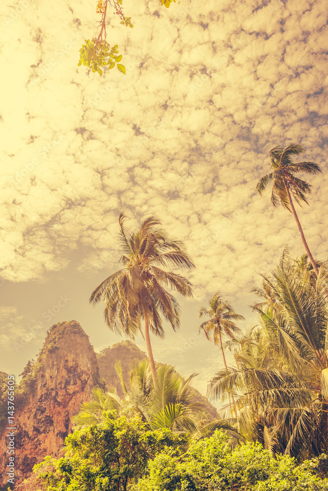 Coconut palm trees and limestone rocks with sun light on sunrise sky background. Travel concept. Photo from West Railay Beach, Southern Thailand. Vintage pastel colors and boost up color processing.