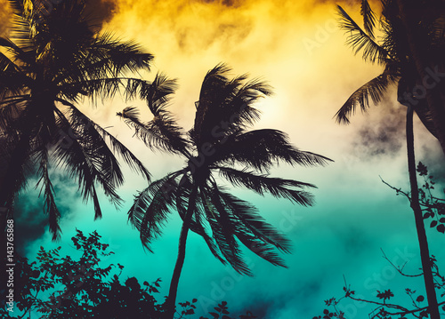 Obraz Sylwetek kokosowi drzewka palmowe z słońcem zaświecają na zmierzchu nieba tle. Koncepcja podróży. Zdjęcie z Kabi, Tajlandia. Vintage kolory i przyspieszenie przetwarzania kolorów.